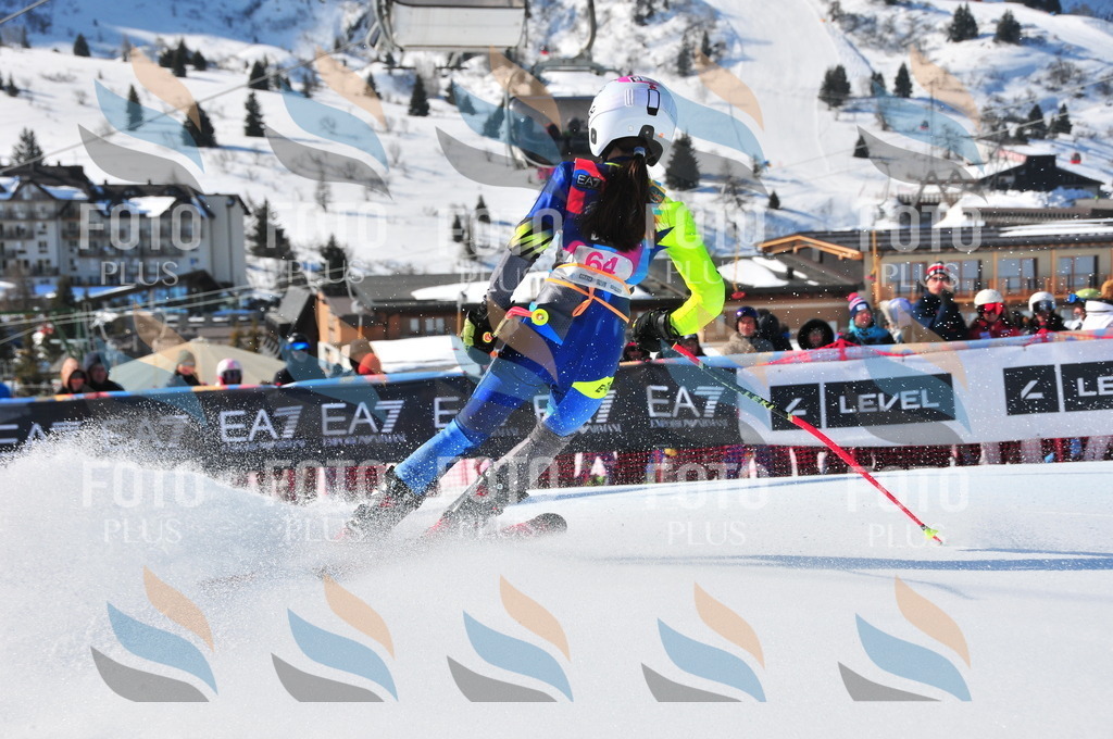 DSC_4234 | holidayphoto