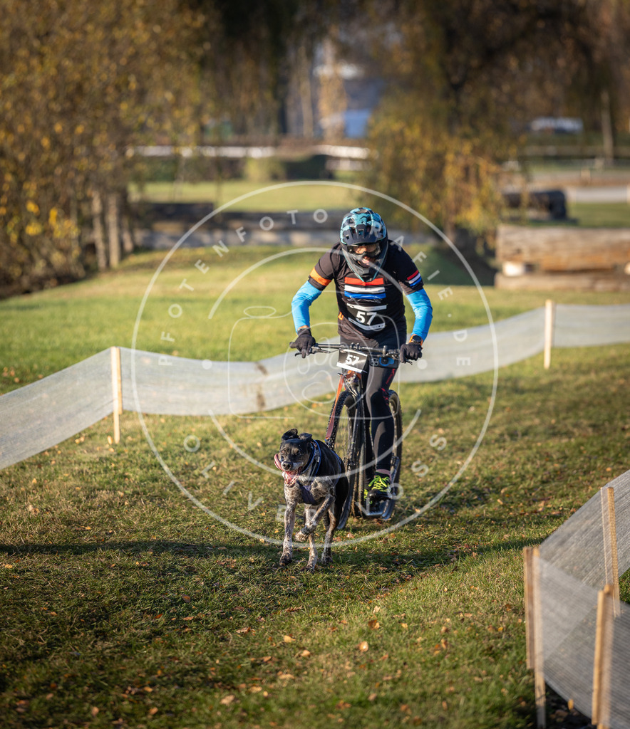 CaniXpix_DV3A0777 | Hundefotografie, Tierfotograf, Pfotenfotografie, Fotoshooting Hund, Hunde Portrait, Hundesport, Hundeportraits, Heideshooting, Hunde, Sportfotograf, Hundefotograf, Turnierhundsport, THS,  - Realisiert mit Pictrs.com