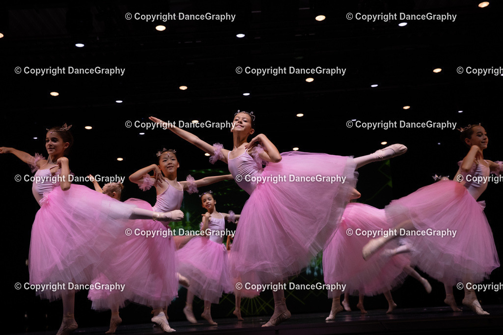 GPHY6728 | DanceGraphy - Realisiert mit Pictrs.com