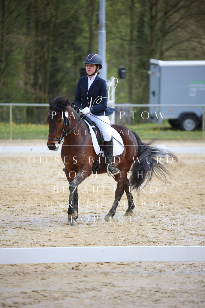 IMGT5106 | pl-fotografie