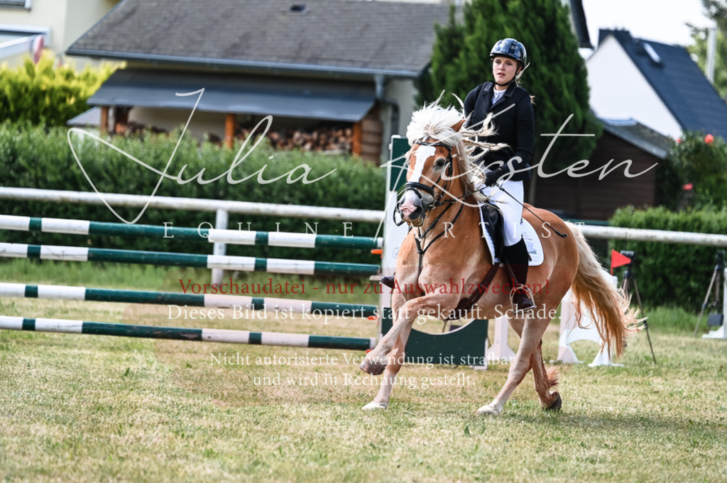 DSC_8735 | Pferde- und Turnierfotografie in Westsachsen. Pferdeportraits, Auftragszeichnungen und intuitive Kunst.