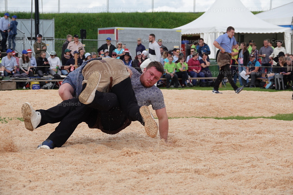 DSC00698 | Schwingen - Realisiert mit Pictrs.com
