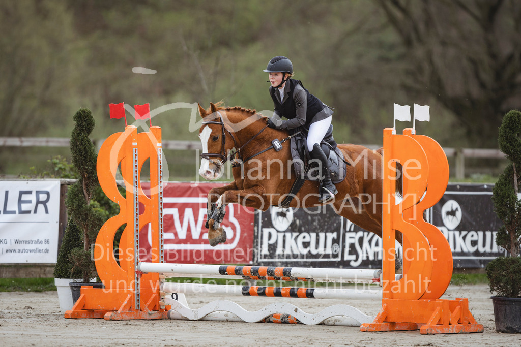 240330_Fruehlingsfest_Stilspring-WB-522 | Deine schönsten Turniermomente als professionelle Fotos! Entdecke hochwertige Pferdesport-Fotografie im Online-Shop. Jetzt Fotos finden & bestellen!