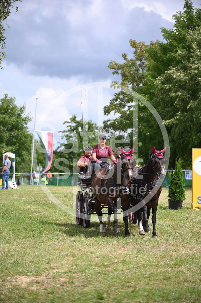 DSC_6941 | sattelsport - Realisiert mit Pictrs.com