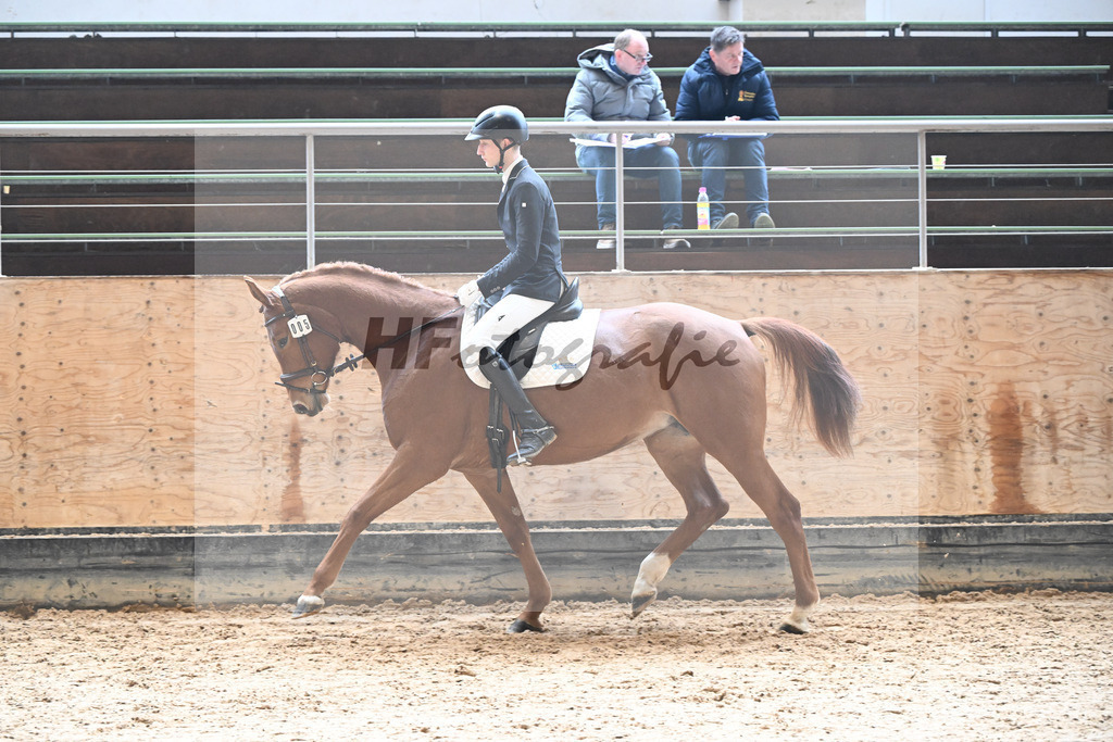 Kat-Nr. 5 Penelope v. Morricone I_Randlkofer_50250209 | hf-fotografie - Realisiert mit Pictrs.com