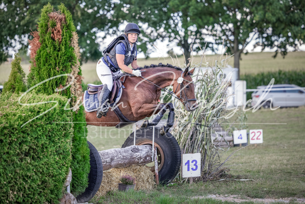20250906-_3LI7293 | Tierfotografie Pferde, Hunde, Katzen, Haustiere.
Turnierfotografie Reitturniere, Reiten, Springreiten, Dressur in Hanau, dem Main-Kinzig-Kreis und dem Rhein-Main- Gebiet um Frankfurt