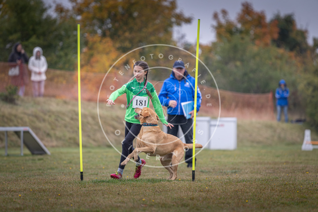 Pfotenfotografie_DV3A9936 | Hundefotografie, Tierfotograf, Pfotenfotografie, Fotoshooting Hund, Hunde Portrait, Hundesport, Hundeportraits, Heideshooting, Hunde, Sportfotograf, Hundefotograf, Turnierhundsport, THS,  - Realisiert mit Pictrs.com