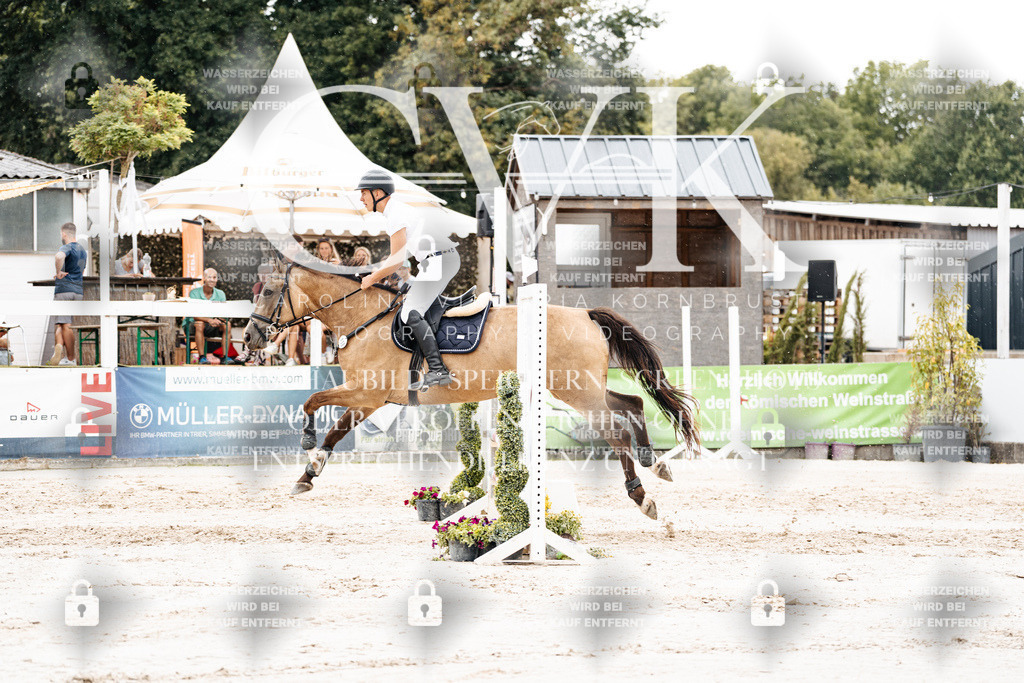 CK908733 | Turnierfotografie Pferdefotografie Trier Rheinland-Pfalz Pferdesport Reitsport Tierfotografie Sportfotografie Pferdevideo Pferdevideografie Equestrianvideography equestrianphotography  - Realisiert mit Pictrs.com