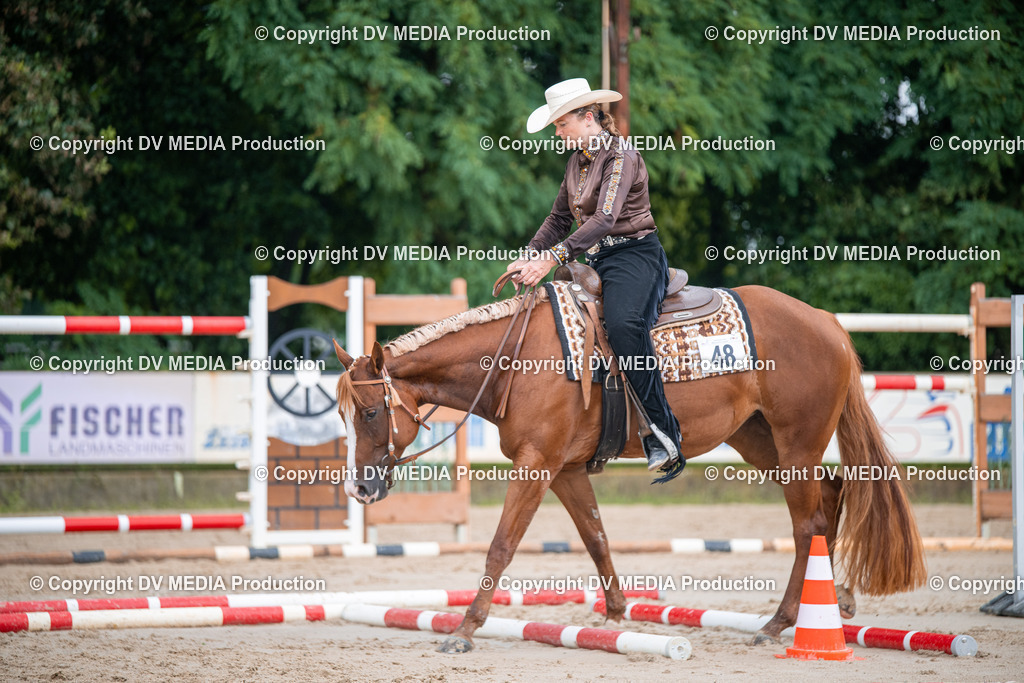 ZS2_4001 | dv-media-shop - Realisiert mit Pictrs.com