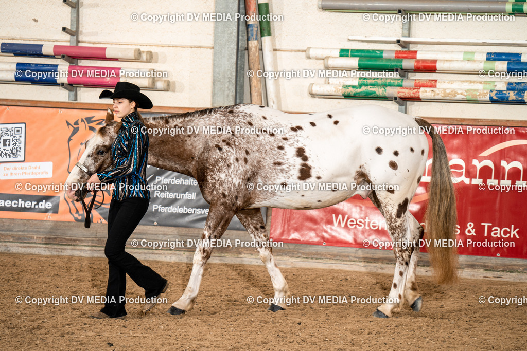 Heiligenwald Tag 1-129 | dv-media-shop - Realisiert mit Pictrs.com