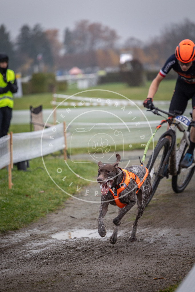 CaniXpix_0L8A0957 | Hundefotografie, Tierfotograf, Pfotenfotografie, Fotoshooting Hund, Hunde Portrait, Hundesport, Hundeportraits, Heideshooting, Hunde, Sportfotograf, Hundefotograf, Turnierhundsport, THS,  - Realisiert mit Pictrs.com