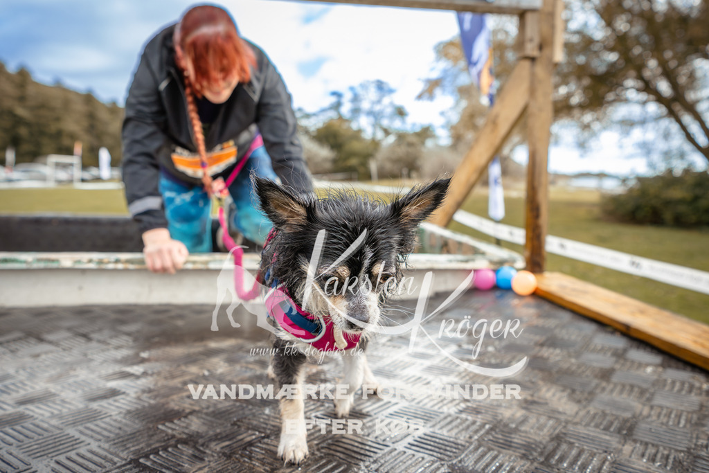 1343_ZZ91978-2 | kk-dogfotos