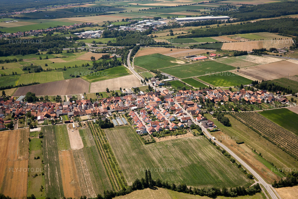 Luftbild: Ortsansicht von Norden in Erlenbach bei Kandel im Bundesland Rheinland-Pfalz in Deutschland. Foto: IMG_30210.jpg vom 05.07.2010 durch Werner Riehm/FLY-FOTO.de