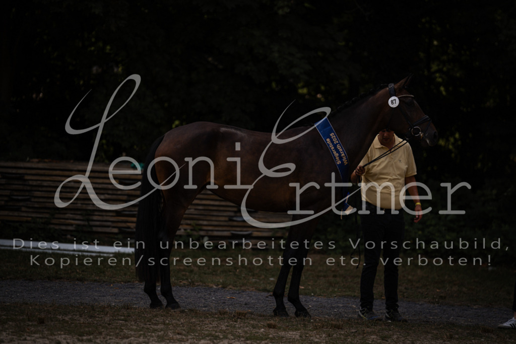 FrER00259 | Leoni Ertmer Photography - Realisiert mit Pictrs.com