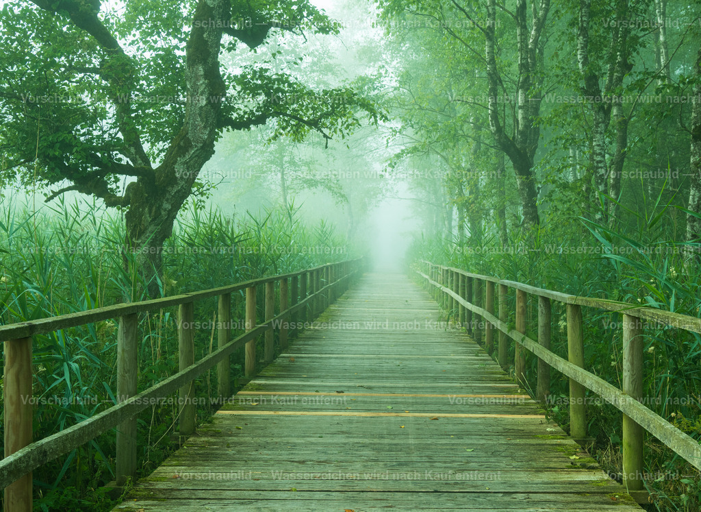Langer Steg | im Naturschutzgebiet Fegersee - Realisiert mit Pictrs.com