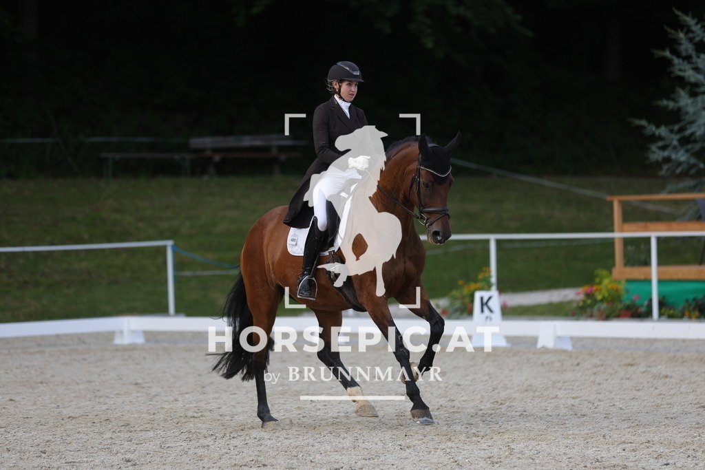 0P6A7975 | Willkommen bei Brunnmayr - Design & Fotografie – Ihrem Spezialisten für Reitturniere und Pferdeveranstaltungen in Oberösterreich, Salzburg und Bayern! Seit über 17 Jahren sind wir leidenschaftlich dabei.