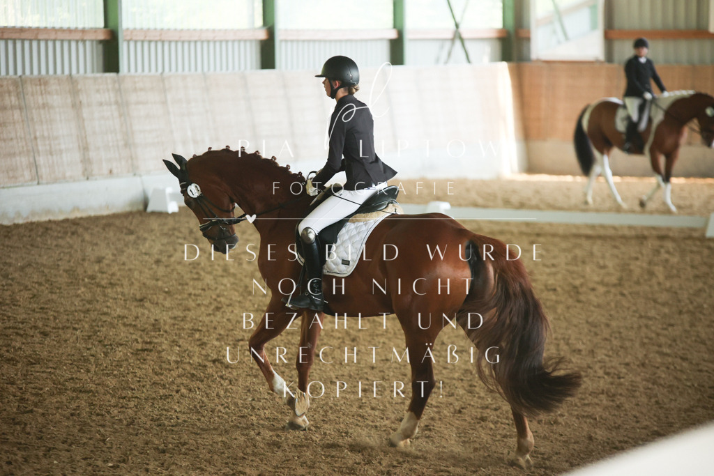 IMGM3770 | pl-fotografie