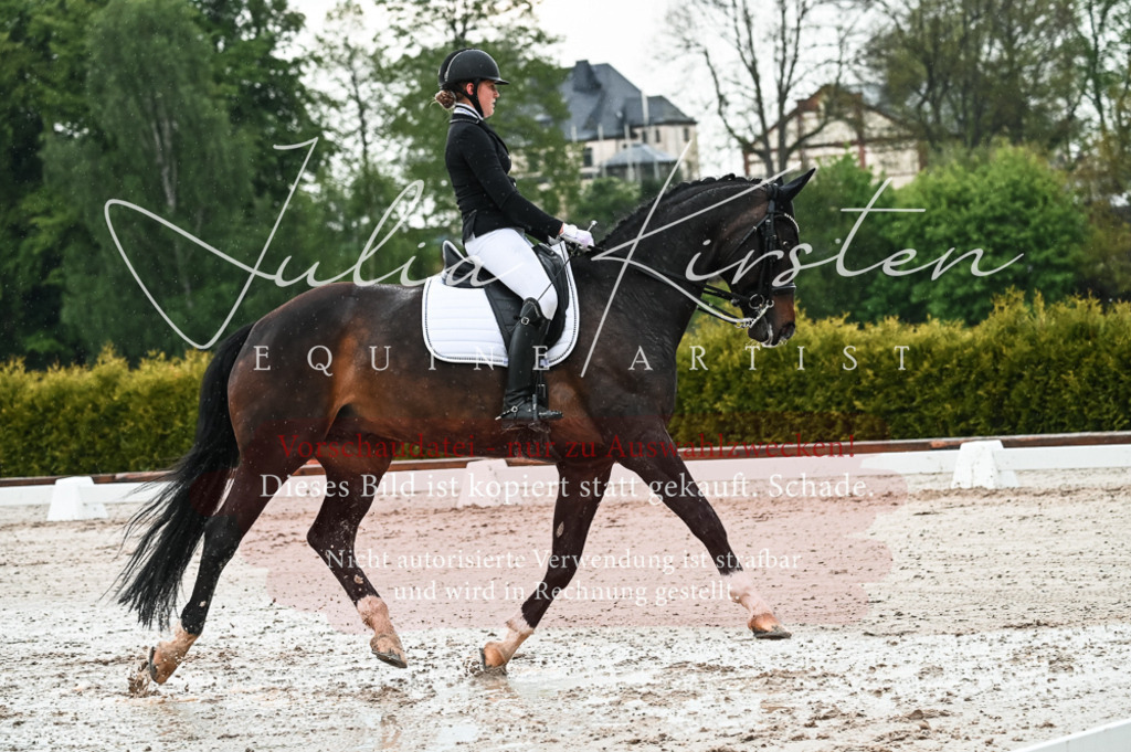 DSC_4330 | Pferde- und Turnierfotografie in Westsachsen. Pferdeportraits, Auftragszeichnungen und intuitive Kunst.