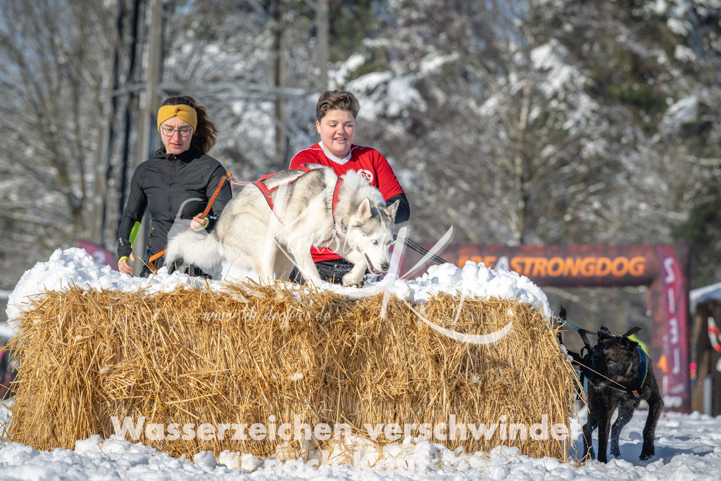 0957_ZZ94269 | kk-dogfotos