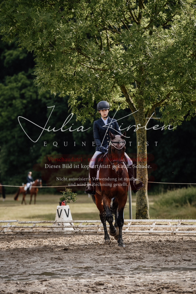 DSC_8610 | Pferde- und Turnierfotografie in Westsachsen. Pferdeportraits, Auftragszeichnungen und intuitive Kunst.