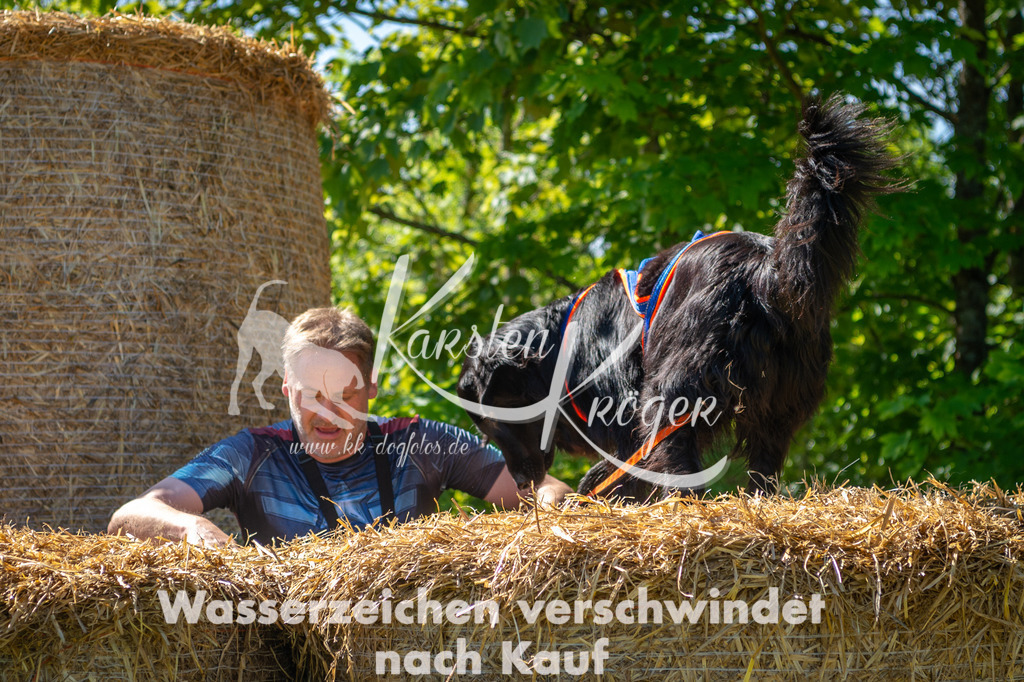 1035STR_5437 | kk-dogfotos