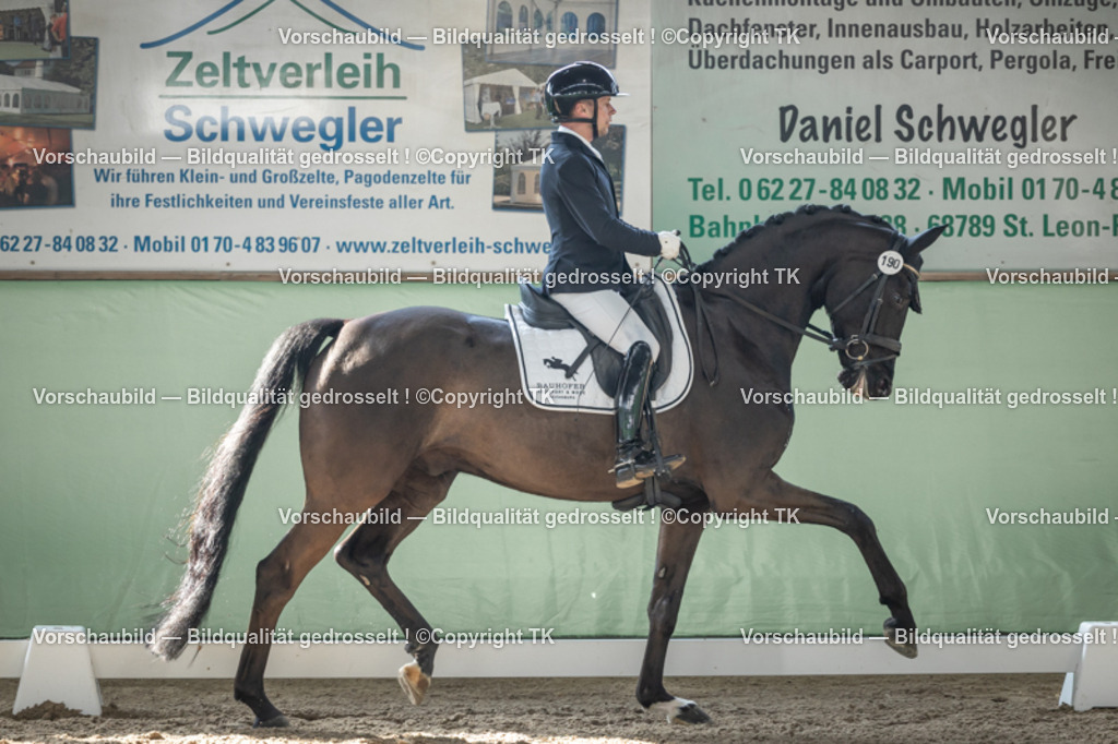 _D5A0872 | Emotionale Pferde- & People-Fotografie rund um Heidelberg, Leimen & Umgebung. Natürliche Fotos von Pferd, Mensch & Familie. Jetzt Termin sichern!