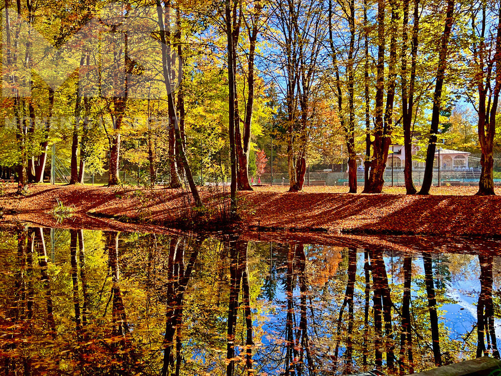 mis310719RF02.JPG | 18.10.2022, Bad Wörishofen im Unterallgäu,  Das Laub der Bäume im Kurpark am kleinen See neben dem Tennisplatz färbt sich herbstlich und die Sonne taucht die Szenerie in goldenes Licht, alles spiegelt sich nochmal auf der Wasseroberfläche. - Realisiert mit Pictrs.com