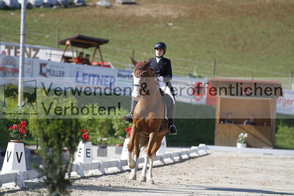 _MG_3020 | equestrian-live-com
