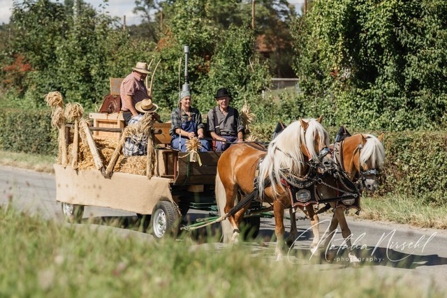 7V6A2040 | natalia-nirschl-photography