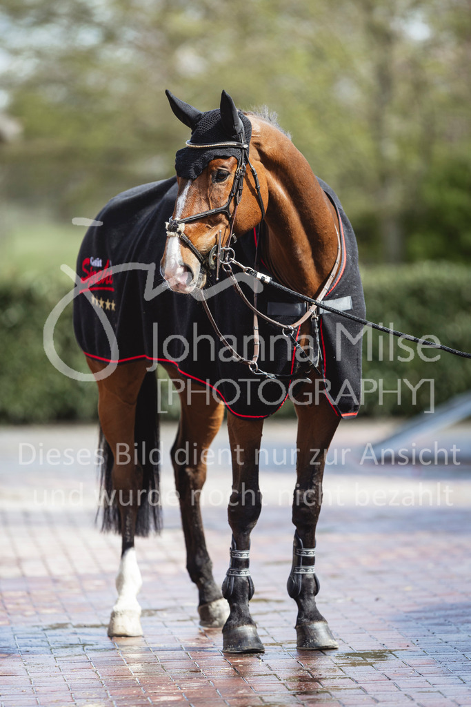 240424_Lemwerder_Impressionen-507 | Deine schönsten Turniermomente als professionelle Fotos! Entdecke hochwertige Pferdesport-Fotografie im Online-Shop. Jetzt Fotos finden & bestellen!