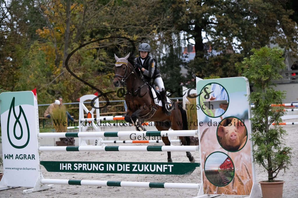 A7V08876 | Turnier/Reitfotograf