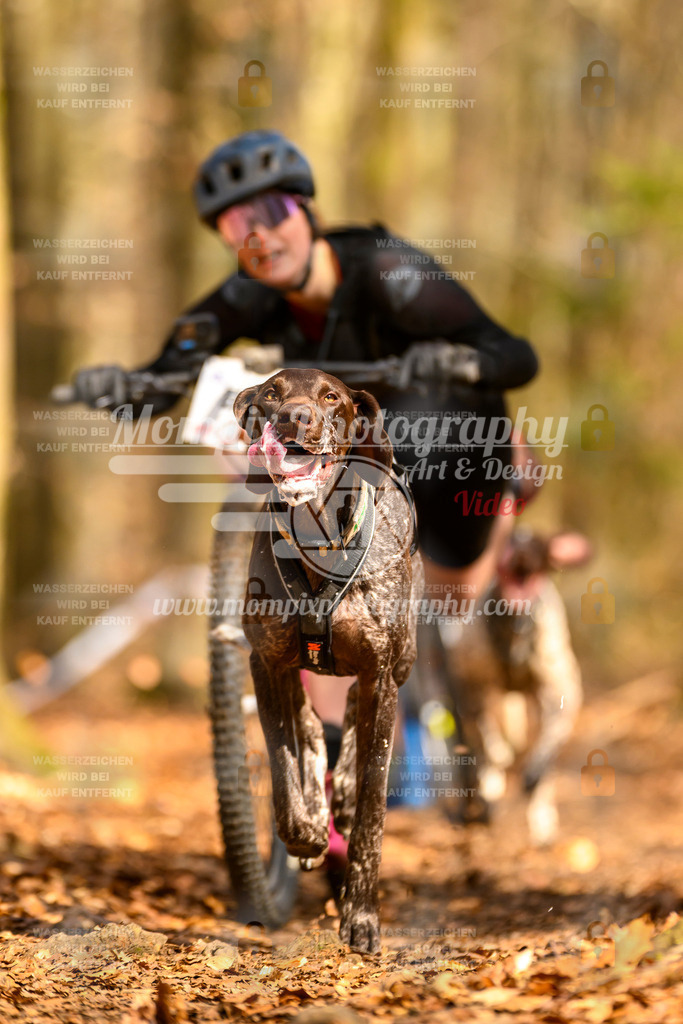 MompixPhotography_Habay2025_SA_SCO-12 | PayLife