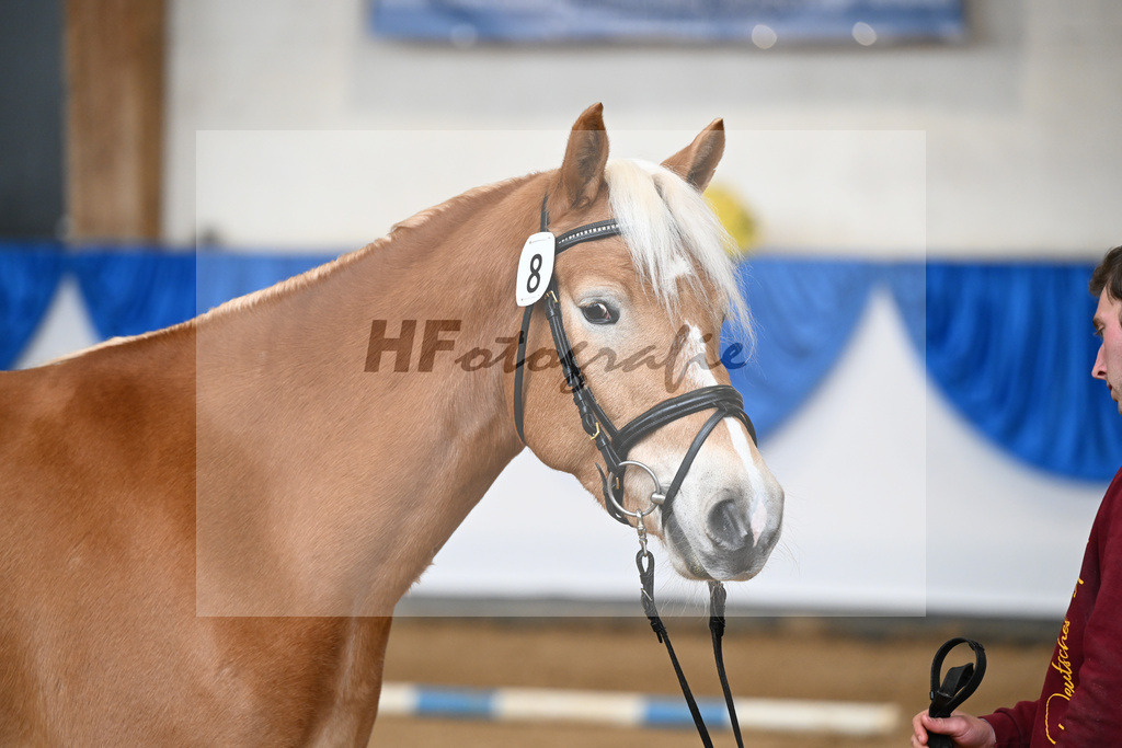 Bl. Band Kat-Nr. 8 Nancy v. Bugatti_Stadler_48251370 | hf-fotografie - Realisiert mit Pictrs.com