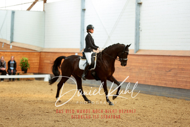 _62_4638 | Turniersportfotografie; Pferdefotografie; Dressurfotografie