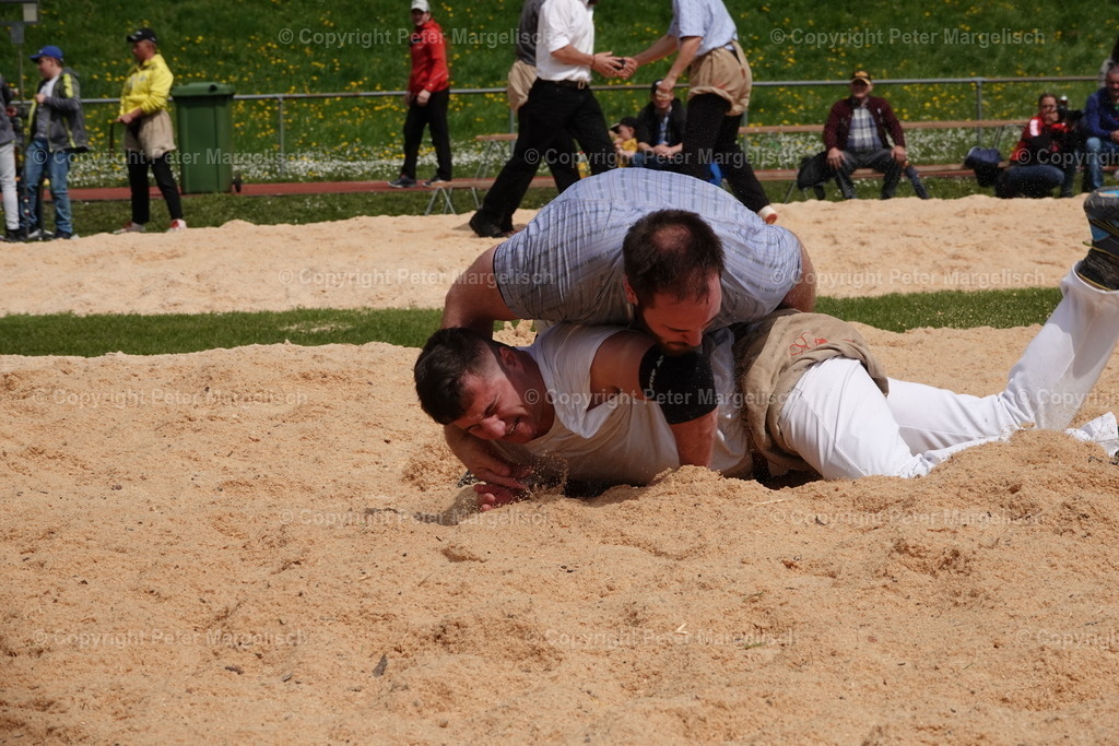 DSC03136 | Schwingen - Realisiert mit Pictrs.com