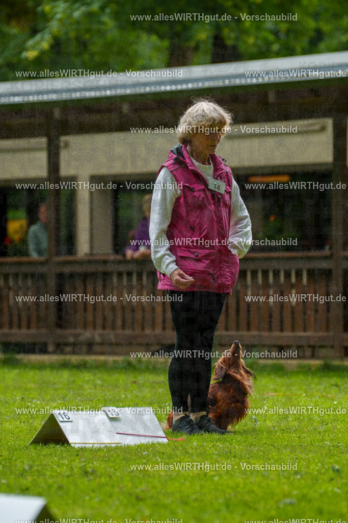@allesWIRTHgut_Tierfotografie - www.allesWIRTHgut.de - 090952-7R506639 | Professionelle Tierfotografie in Mönchengladbach von Daniel Wirth (allesWIRTHgut). Liebevolle & natürliche Bilder von Hunden & Katzen für unvergessliche Erinnerungen.