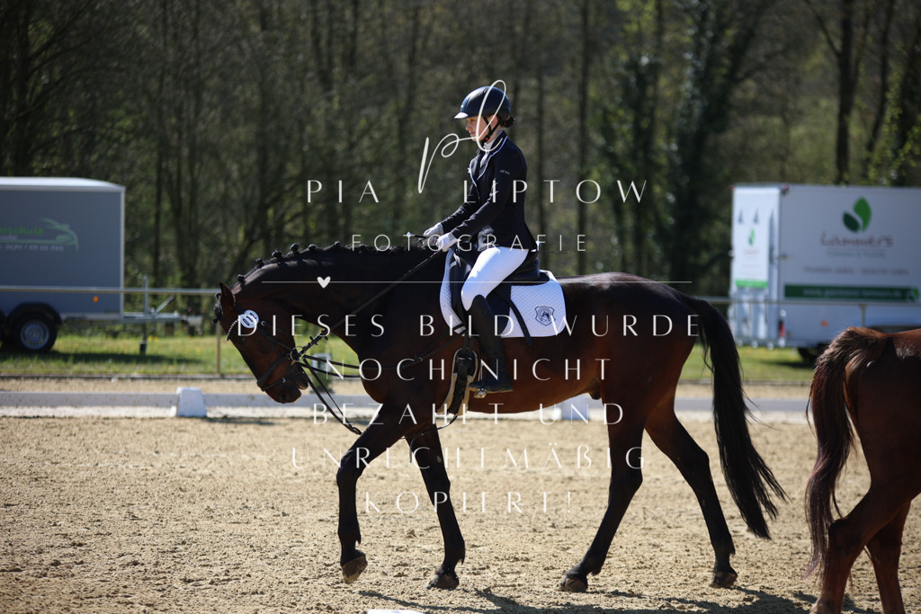 IMGT0434 | pl-fotografie