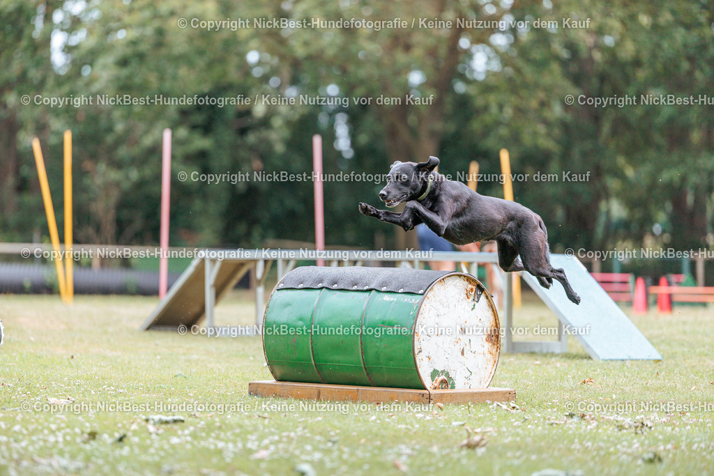 THS-Quakenbrück-2026-Nickbest-Hundefotografie-4685 | Dein Hund! Dein Moment! Deine Erinnerungen! Hundefotografie in Bremen Blumenthal. Ich fange die besonderen Momente deines Vierbeiners ein – ob Indoor mit Blitzanlage oder in der freien Natur. Sicher dir dein Moment und dein Termin für eure Erinnerungen.