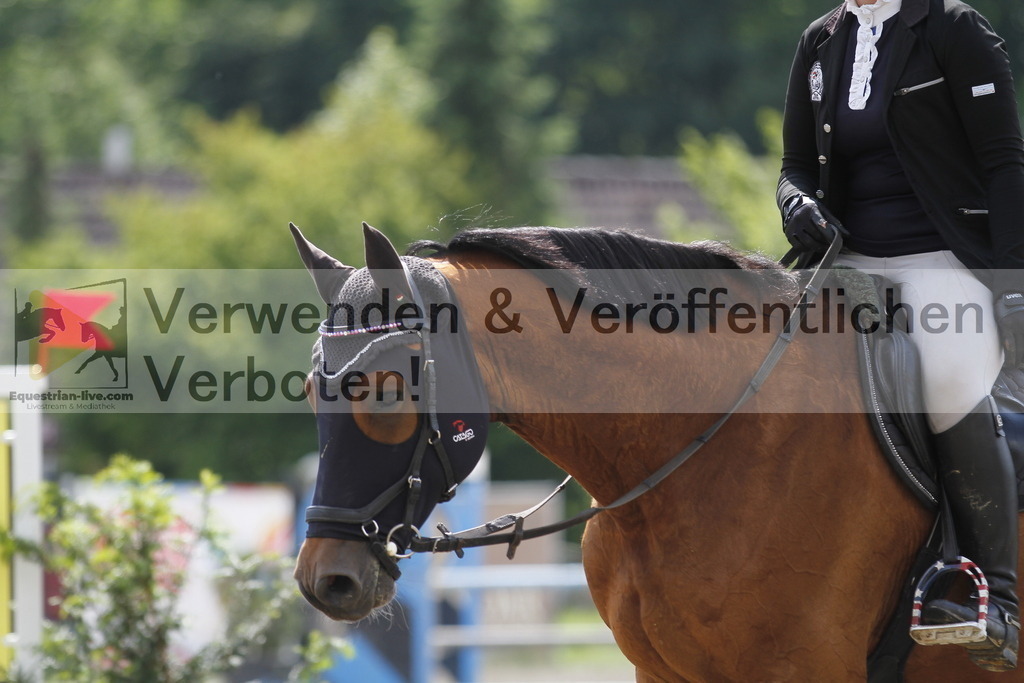 _MG_9598 | equestrian-live-com