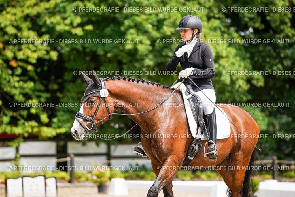 DSC00435 | Pferdegrafie