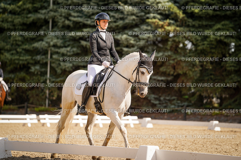 DSC00991 | Pferdegrafie