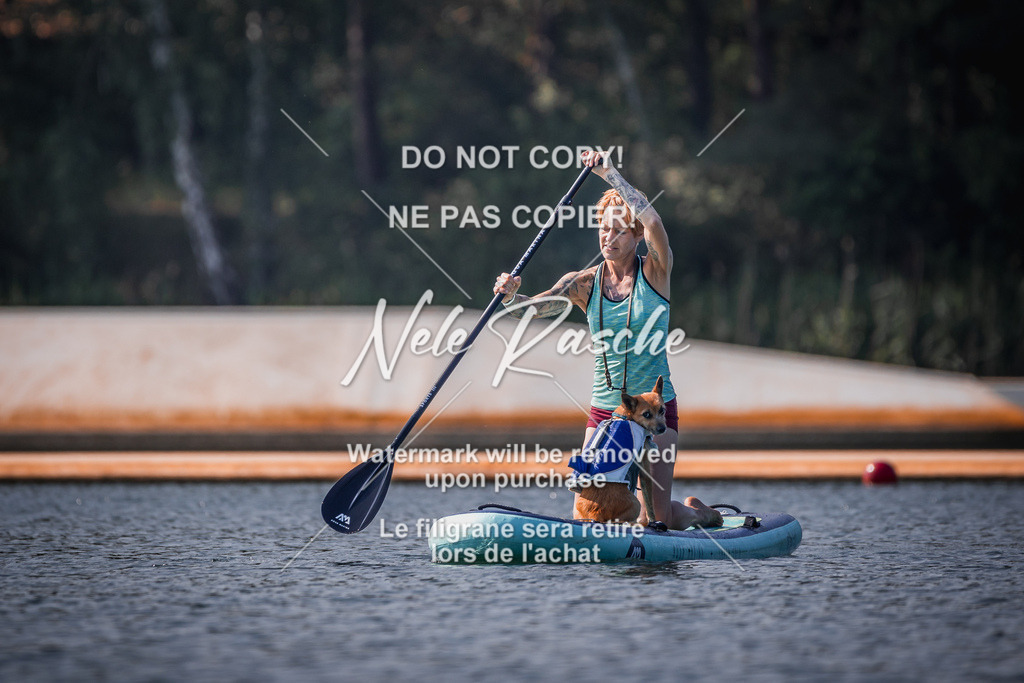 BUHU_SUP_209 | nelerasche
