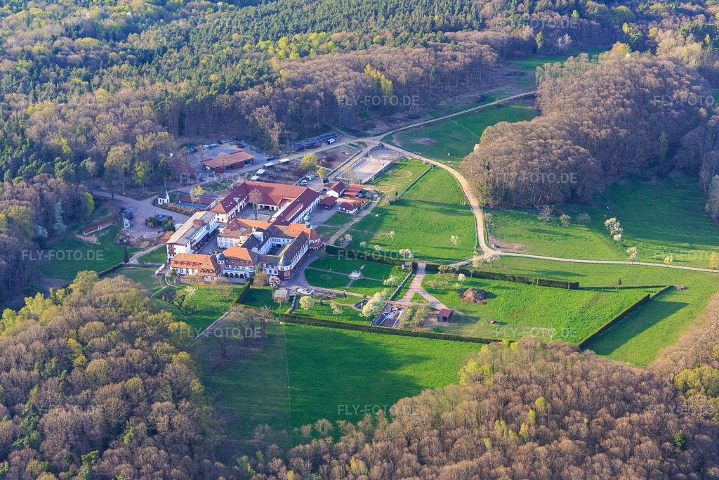 Luftbild: Pferdepension im Kloster Liebfrauenberg im Frühjahr in Bad Bergzabern im Bundesland Rheinland-Pfalz in Deutschland. Foto: IMG_106551.jpg vom 17.04.2018 durch Werner Riehm/FLY-FOTO.de