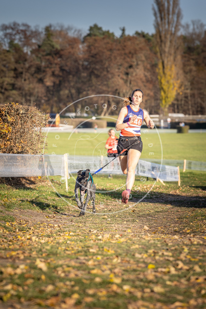 CaniXpix_DV3A2305 | Hundefotografie, Tierfotograf, Pfotenfotografie, Fotoshooting Hund, Hunde Portrait, Hundesport, Hundeportraits, Heideshooting, Hunde, Sportfotograf, Hundefotograf, Turnierhundsport, THS,  - Realisiert mit Pictrs.com