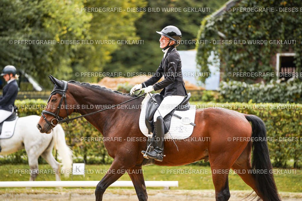 DSC02482 | Pferdegrafie