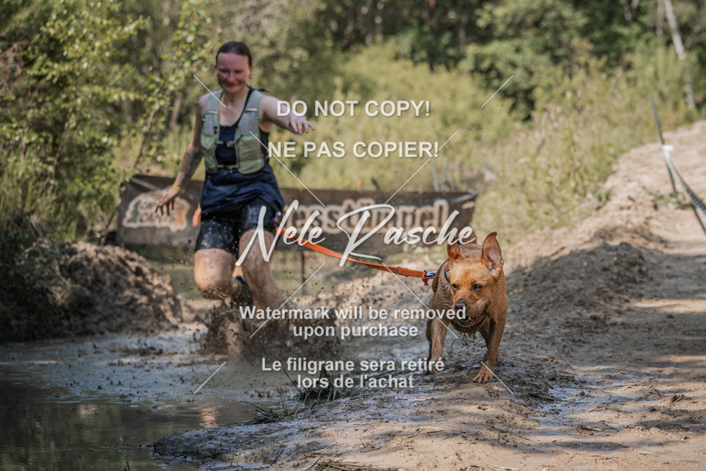 nelerasche_Hoope2026_Sa1500-1530_12 | nelerasche