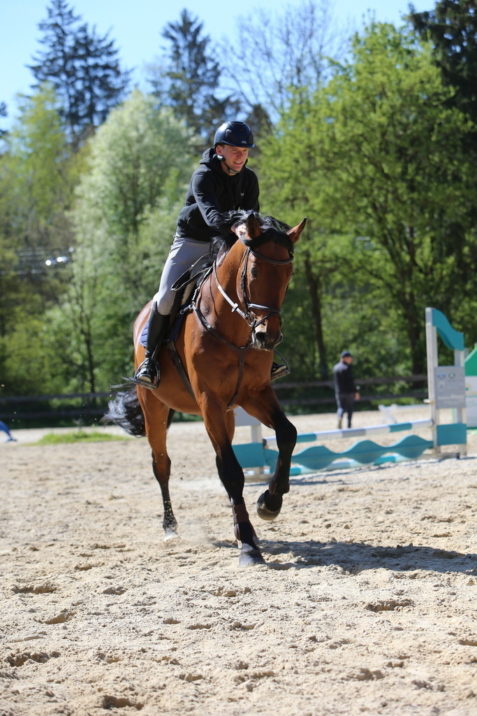DL2Q3112 | Willkommen bei Brunnmayr - Design & Fotografie – Ihrem Spezialisten für Reitturniere und Pferdeveranstaltungen in Oberösterreich, Salzburg und Bayern! Seit über 17 Jahren sind wir leidenschaftlich dabei.