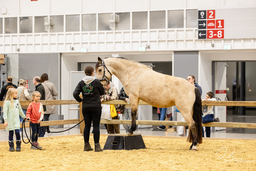 846A8992 | fotosleben - Realisiert mit Pictrs.com