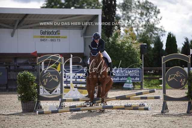 1J2A6991Sina Boldt_ Quincentaro_ Kn872_ Havekost | Foto- und Videografie für alles rund ums Pferd. Hochwertige Bilder und Videos vom Spring- und Dressurreiten, Voltigieren & mehr. Jetzt aktuelle Veranstaltungen und Preise im Shop ansehen. - Realisiert mit Pictrs.com