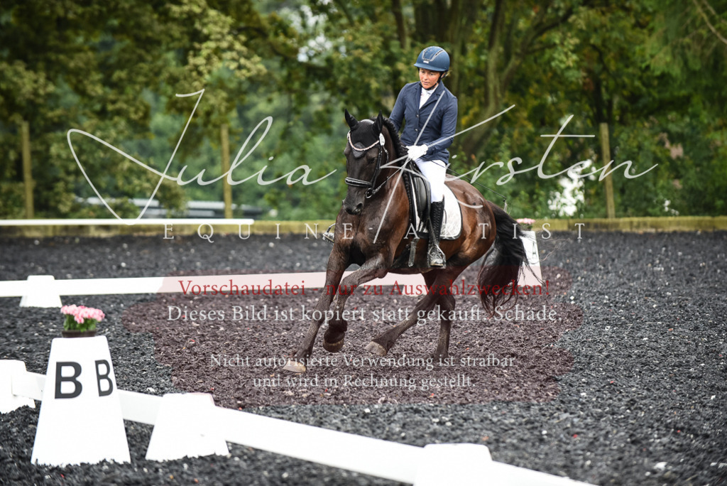 DSC_2798 | Pferde- und Turnierfotografie in Westsachsen. Pferdeportraits, Auftragszeichnungen und intuitive Kunst.